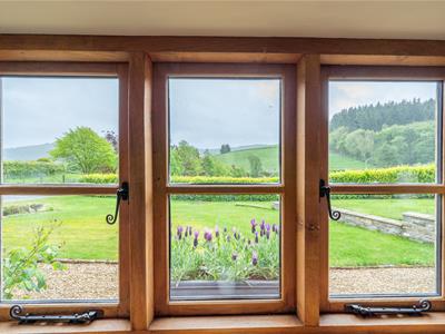 Picture 37